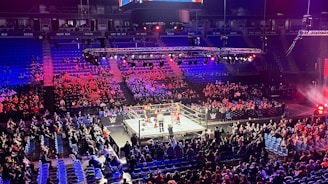 An indoor arena is filled with people watching a wrestling match. The ring is centrally located, and surrounded by audience members sitting in tiered seating. The arena is illuminated with red and blue lights, and a large overhead screen displays 'Sunday Stunner.' Spectators are engrossed in the match taking place in the well-lit ring.