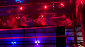 A brightly lit boxing or wrestling ring with vivid red and blue lights. Banners with images of fighters hang from the ceiling. The ropes of the ring are prominently visible, and a stool is placed inside the ring. The arena is filled with an audience, silhouetted against the colorful lighting.